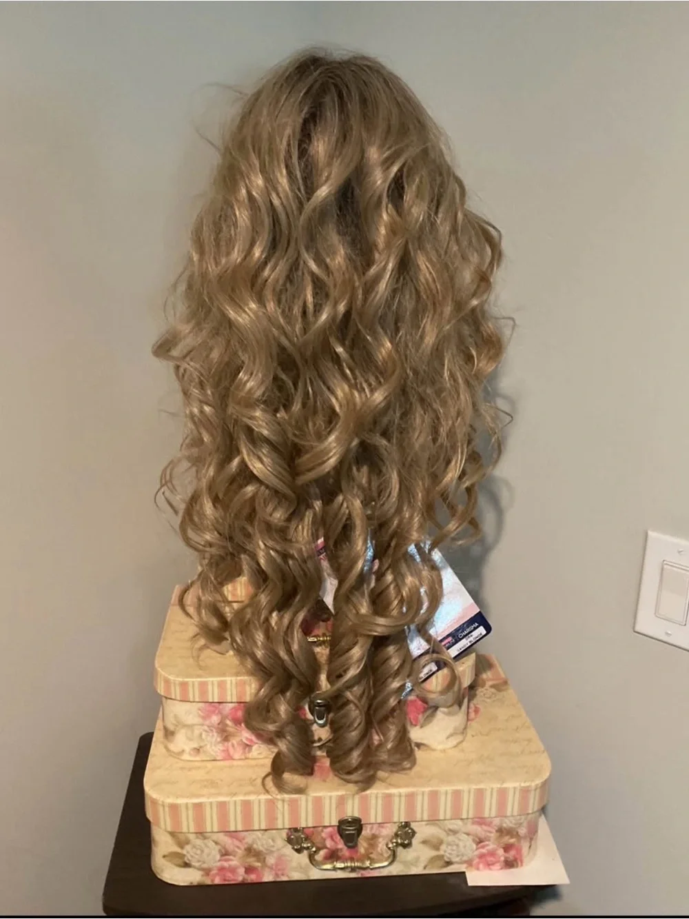 NWT Charisma Sandy Dirty Blonde Curly Long Wig Hair Topper Lace Front